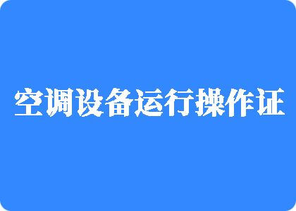 大鸡巴猛操内射黑丝制冷工证