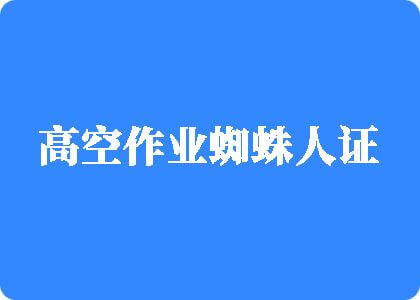 操屄导航高空作业蜘蛛人证